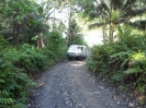 Track down to the River2