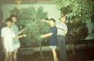 Decorating a Christmas Tree